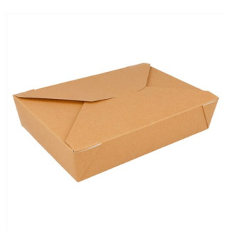CAJITA AMERICANA 19,8X14X4,8 CM 1470 ML P.50