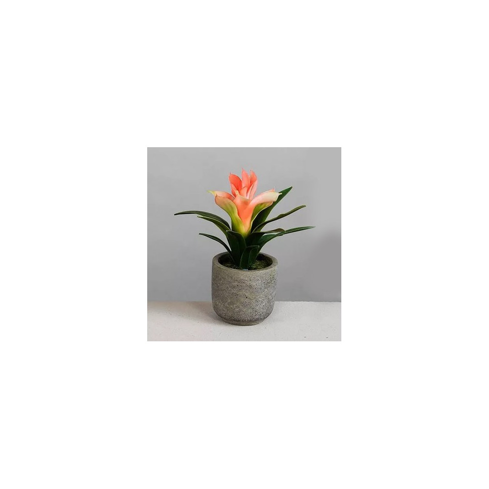 PLANTA CON FLORES 10X23 CM