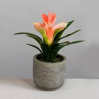MACETA MAGUEY CALDERA 18 CM