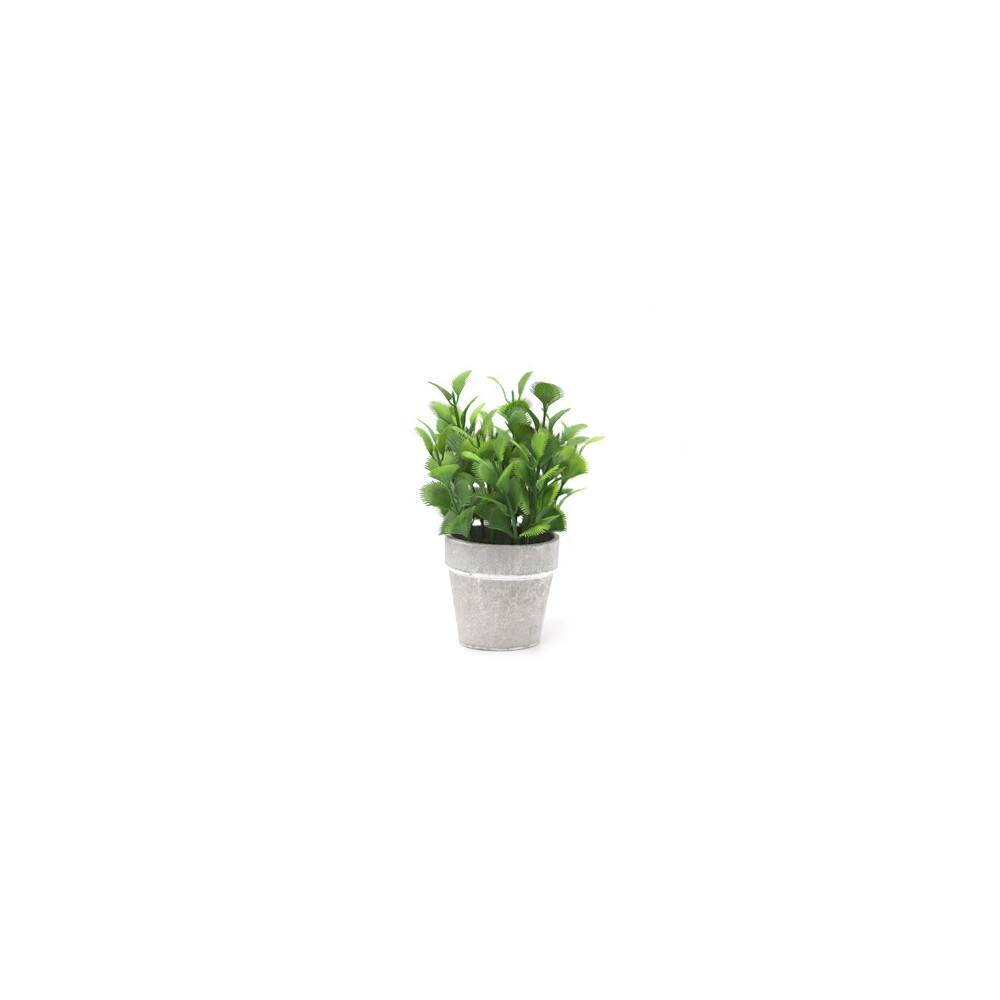 PLANTA CARNIVORA 8X19 CM