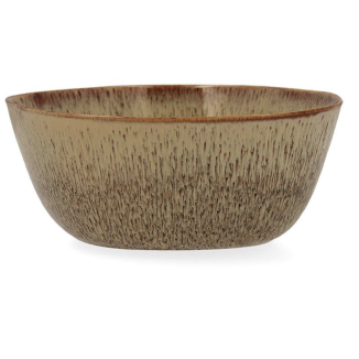 BOWL IRREGULAR PARDO IKONIC 15,8 X 15,7 CM