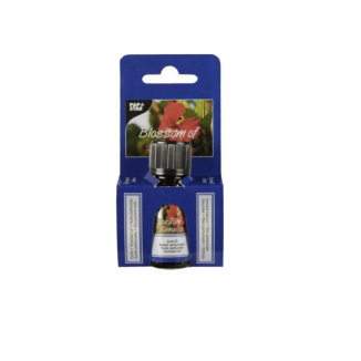 ACEITE AROMATICO 10 ML FLOR JAMAICA (PAP STAR)